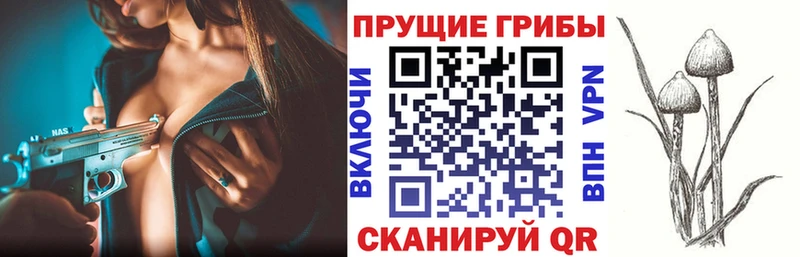 Галлюциногенные грибы прущие грибы  мега   Арсеньев  дарнет шоп 